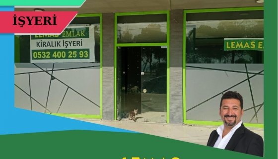LEMAS EMLAK : TECE KİRALIK DÜKKAN - OFİS